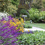 _MG_7133_edited.jpg