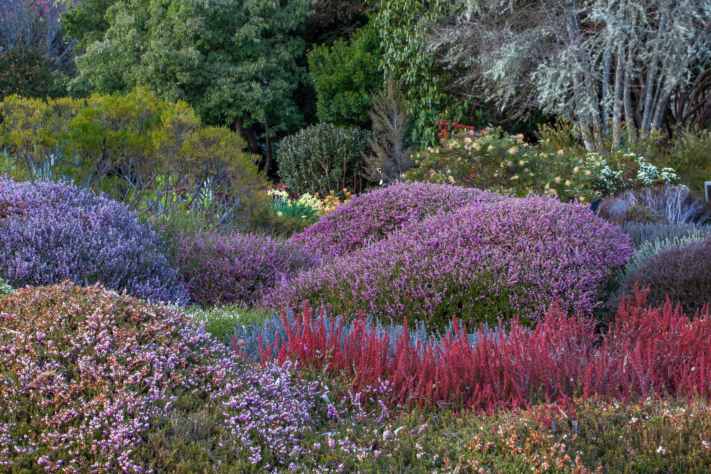 Mendocino Coast Botanical Gardens - Parque in Fort Bragg, CA