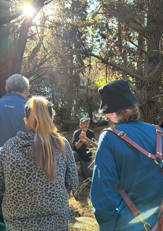 photo by Lisa Plachy