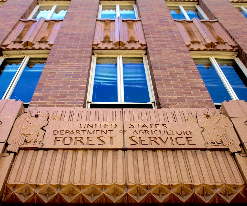 The Pre-Construction Preview: Rehabilitating the Forest Service Building