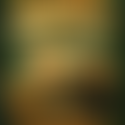 The Irish Brigade - St.Patrick’s Weekend