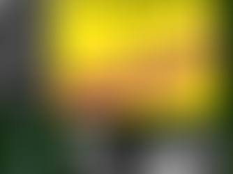 Tony Grimes Weekender