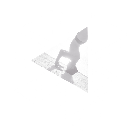 ELEMENTOS SOFI (2).png