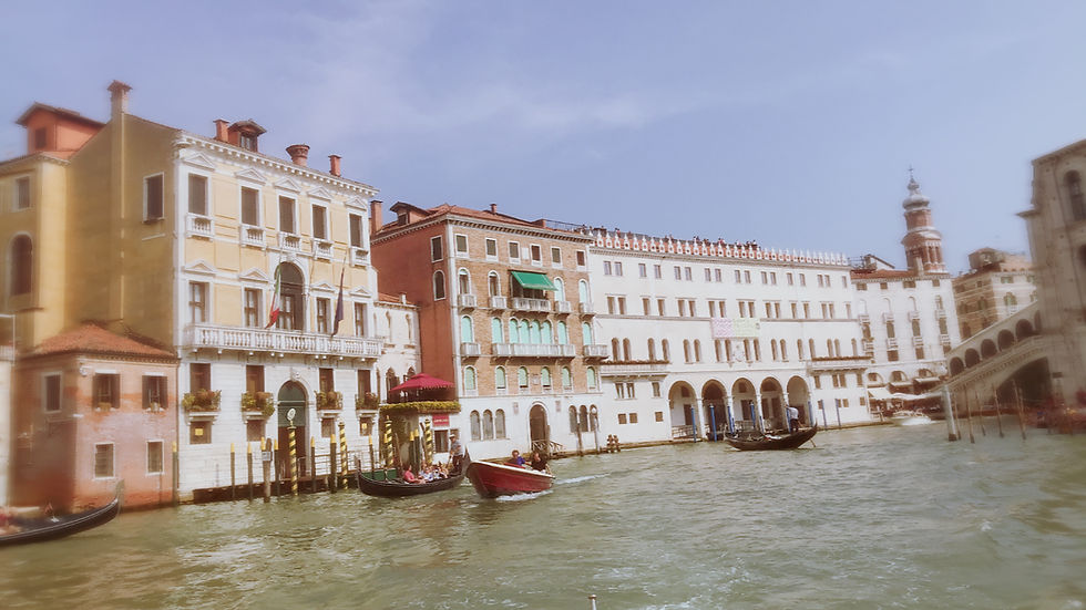 View of Venice Canals from the Riva Limousine