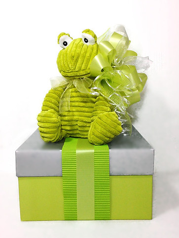 Green frog new baby gift boxes for twins