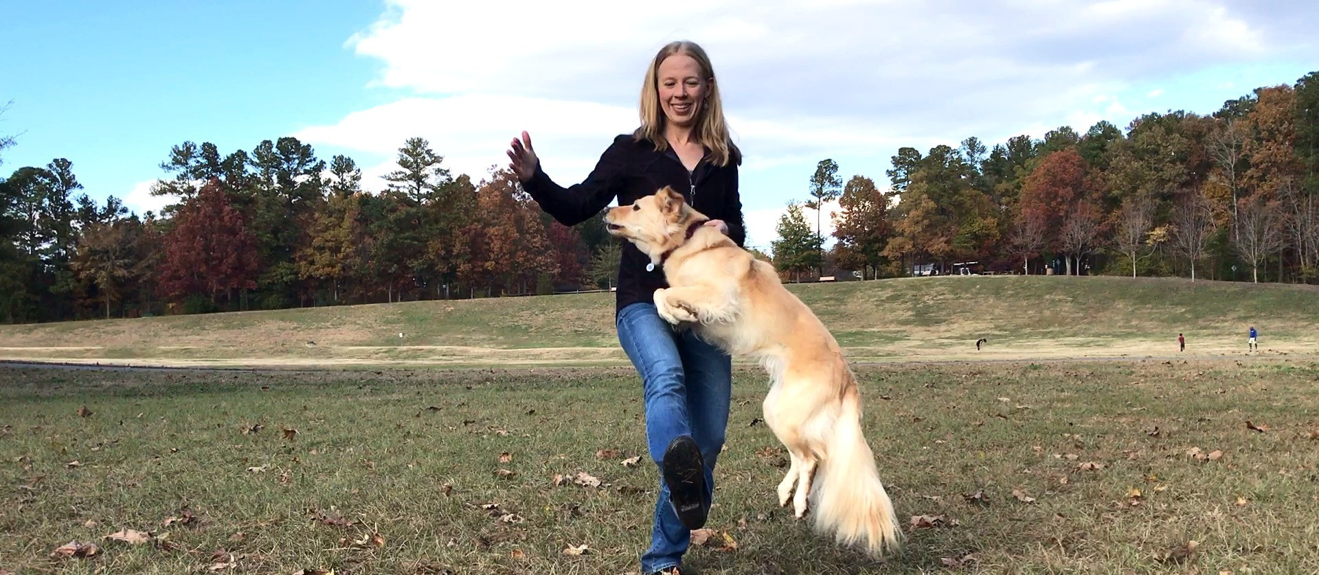 Meet the Trainers of Animal Insight | Raleigh Durham NC
