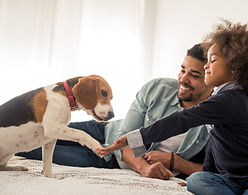 AdobeStock_155807454.jpeg