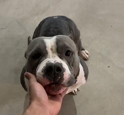 8 Lucy.jpg