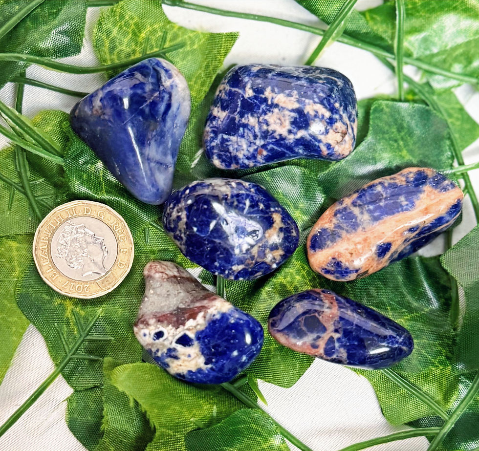 6 spotted blue sodalite tumblestones placed on green leaves with pound coin next to them for scale
