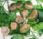 7 unakite tumblestones placed on green leaves with pound coin placed by for scale 