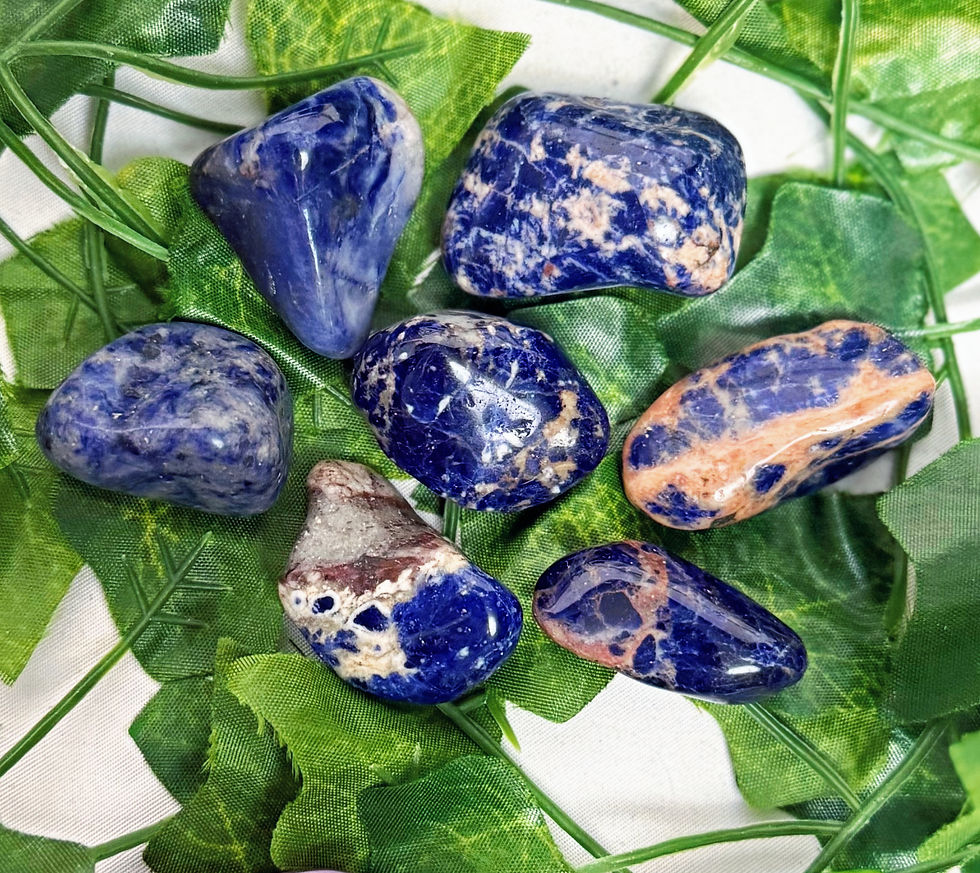 7 spotted blue sodalite tumblestones placed on green leaves
