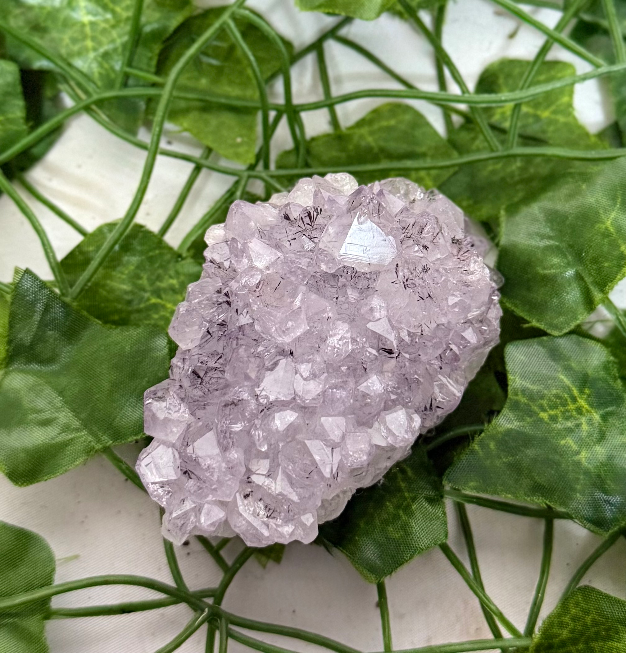 Top of Amethyst cluster