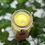 Thumbnail: Top of yellow waxed candle in clear glass jar