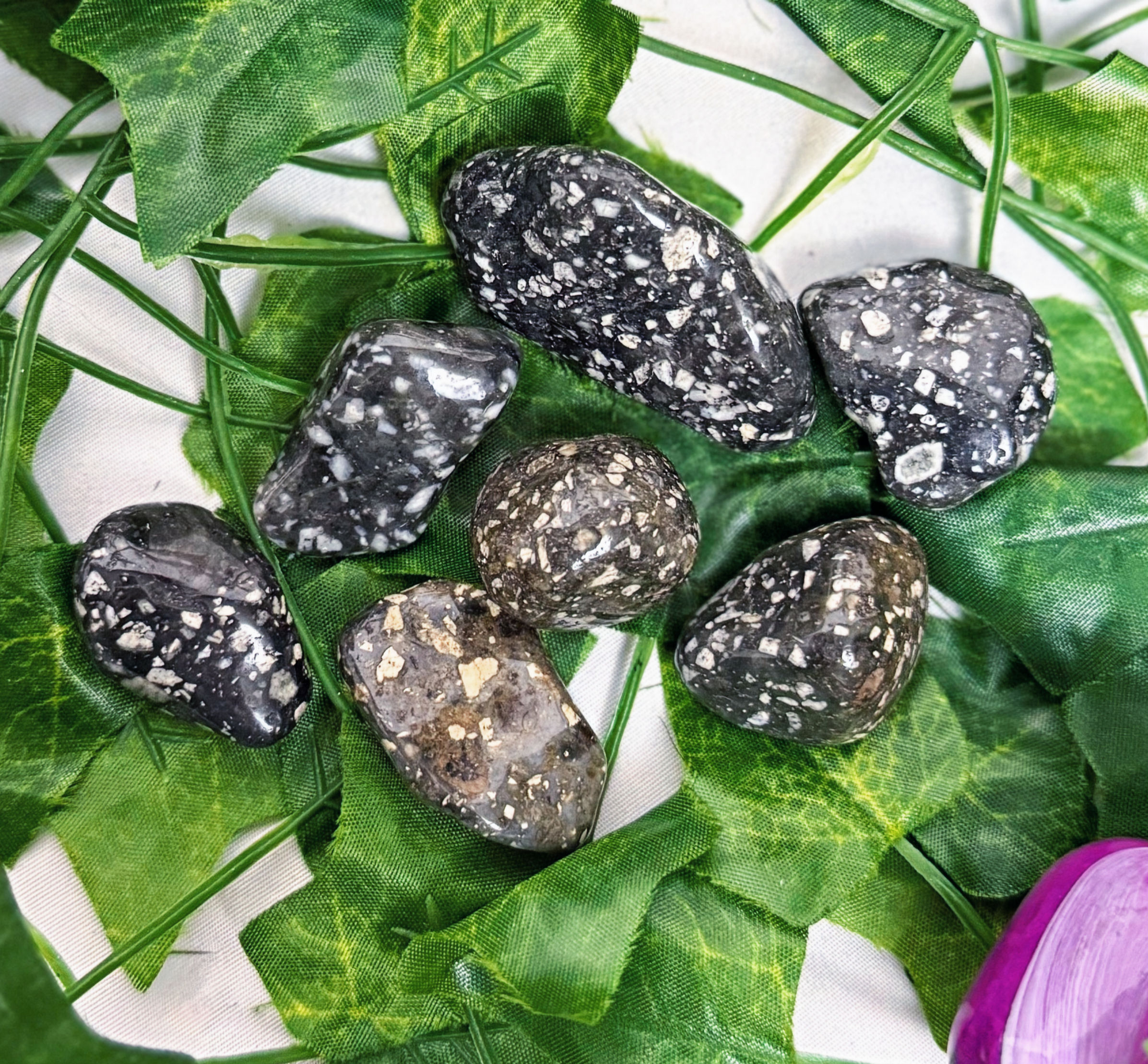 7 Guinea Fowl Jasper tumblestones placed on green leaves