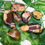 Thumbnail: 7 Nguni jasper tumblestones placed on green leaves