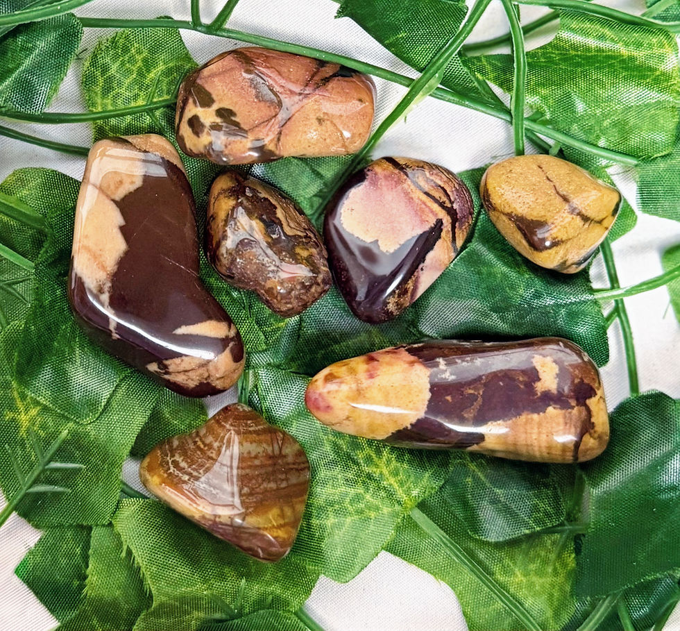 7 Nguni jasper tumblestones placed on green leaves