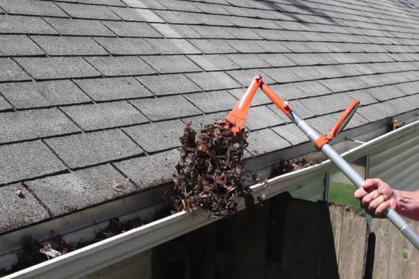 Screen-Shot-2019-04-05-at-5.19.39-PM.webp