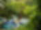 Tolantogo Hot Springs.jpg