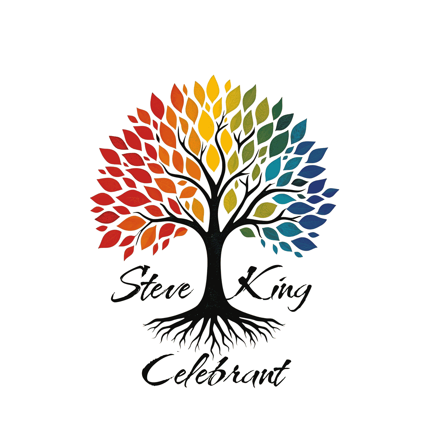 Steve King Celebrant - 07341 313747 - across Monmouthshire, Forest of Dean, Newport, Cwmbran and Gloucestershire