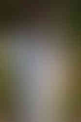 bride and groom emotive image in pretty garden