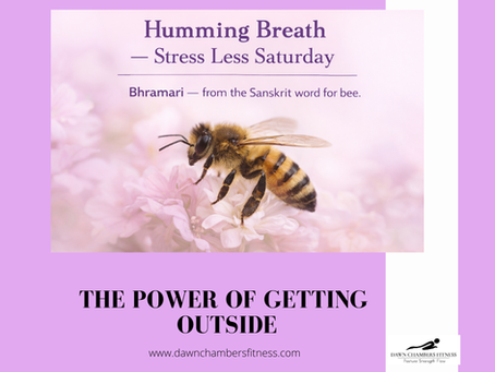 Bee on pink flowers with text: "Humming Breath—Stress Less Saturday. Bhramari—from the Sanskrit word for bee." Title: "The Power of Getting Outside."