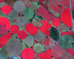 Agriculture Centre Pivot NIR Imagery