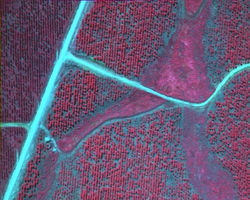 Near Infrared NIR Aerial Imagery