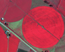 Agric High Resolution NIR Imagery