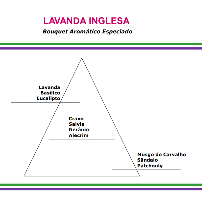 Miniatura: Essencia Tradicional Lavanda Inglesa (100ml) - 010259
