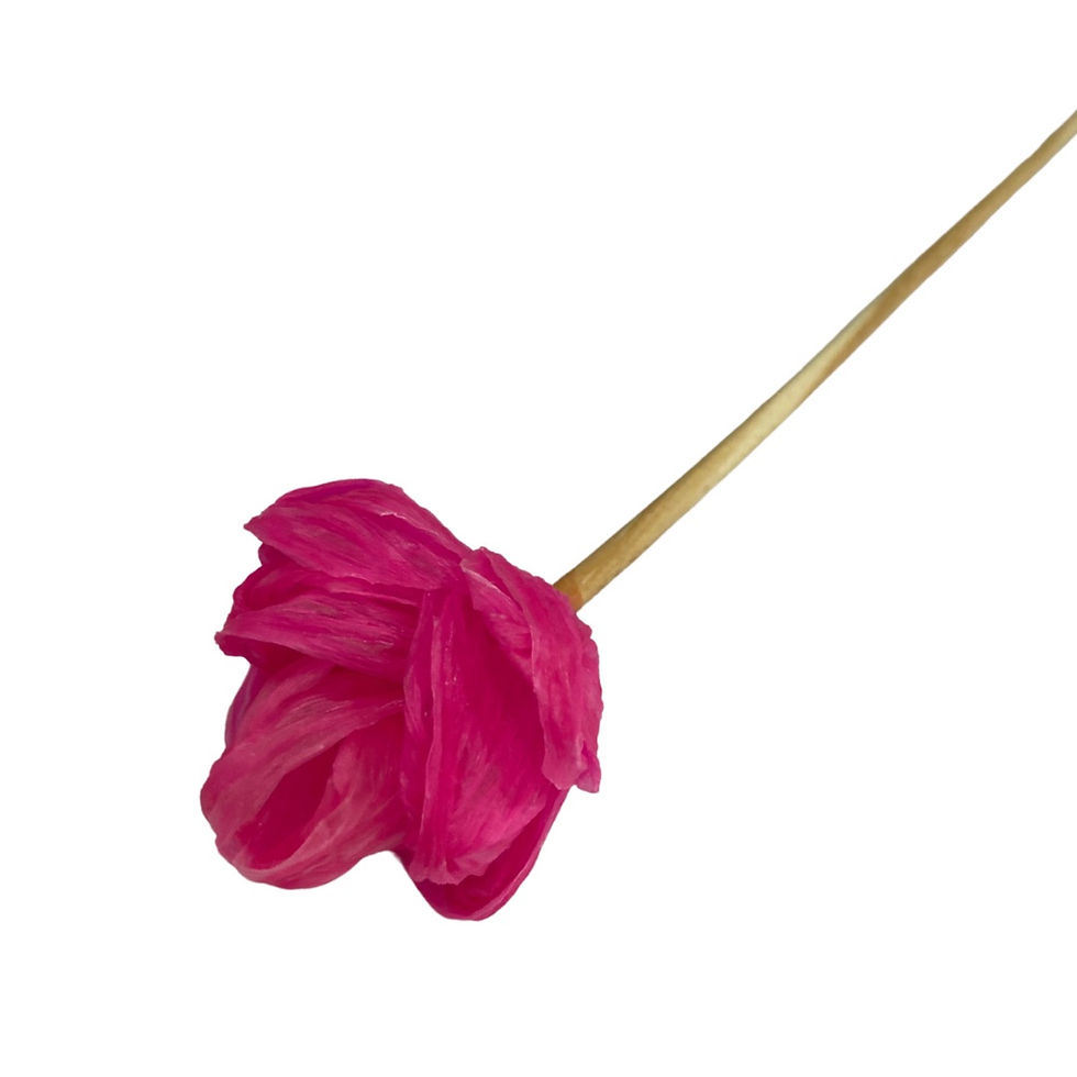 Miniatura: Vareta Rosa Crepom - 210045