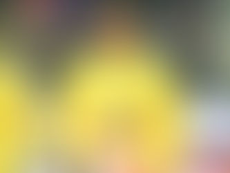 Exclusive: Borrusia Dortmund star is "open" to playing for Nigeria