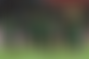 CAF Nations League: Nigeria likely to play "Big" West African derbies