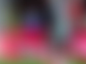 3 goals, 4 assists: Super Eagles star set to join Premier league side