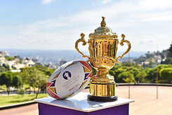 Rugby trophy Boomerang Effect
