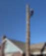 Utah Arborist