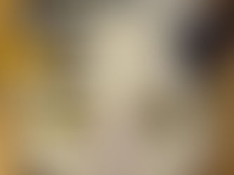 Lights & Gifts (Week of 12/15)