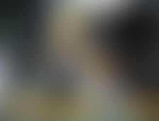 Comenzamos por restaurar nuestro habitad