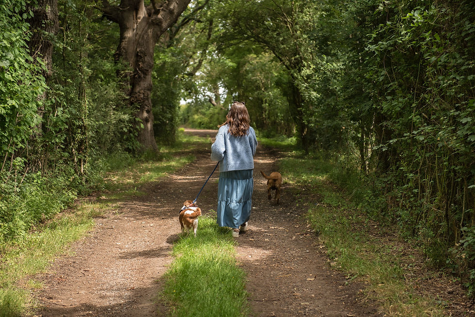 Kirstie walking two dogs down country path