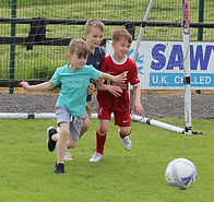 Beragh Swifts 2.jpg