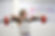 Euphoria Fitness - 89.jpg