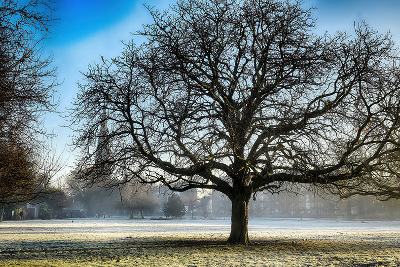 Jackie Hopfinger - Misty Mornings 4.jpg