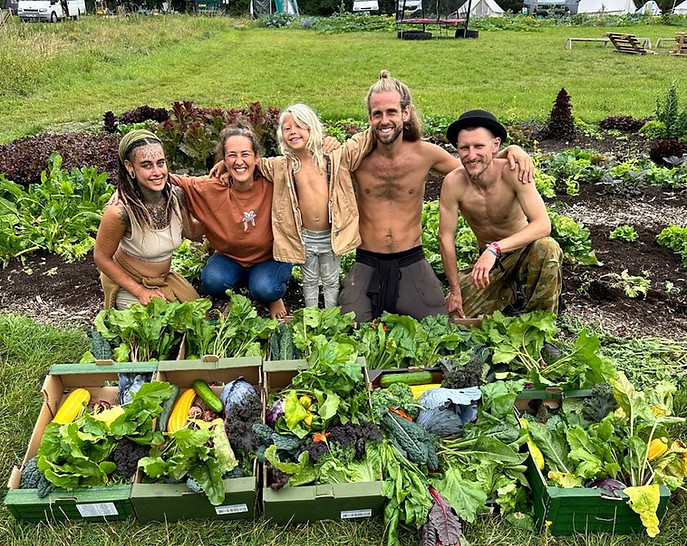 veg boxes.jpg