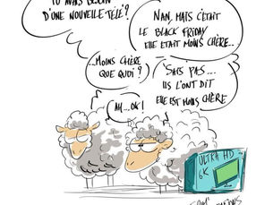 Et les Canavérois dans tout ça ?