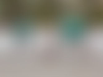 NL: Pleiten, Pech und Pannen