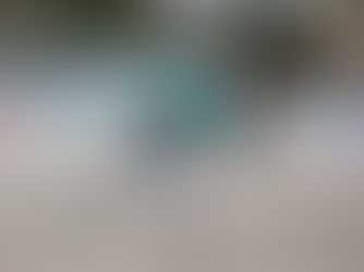 NL: Wechselbad der Gefühle