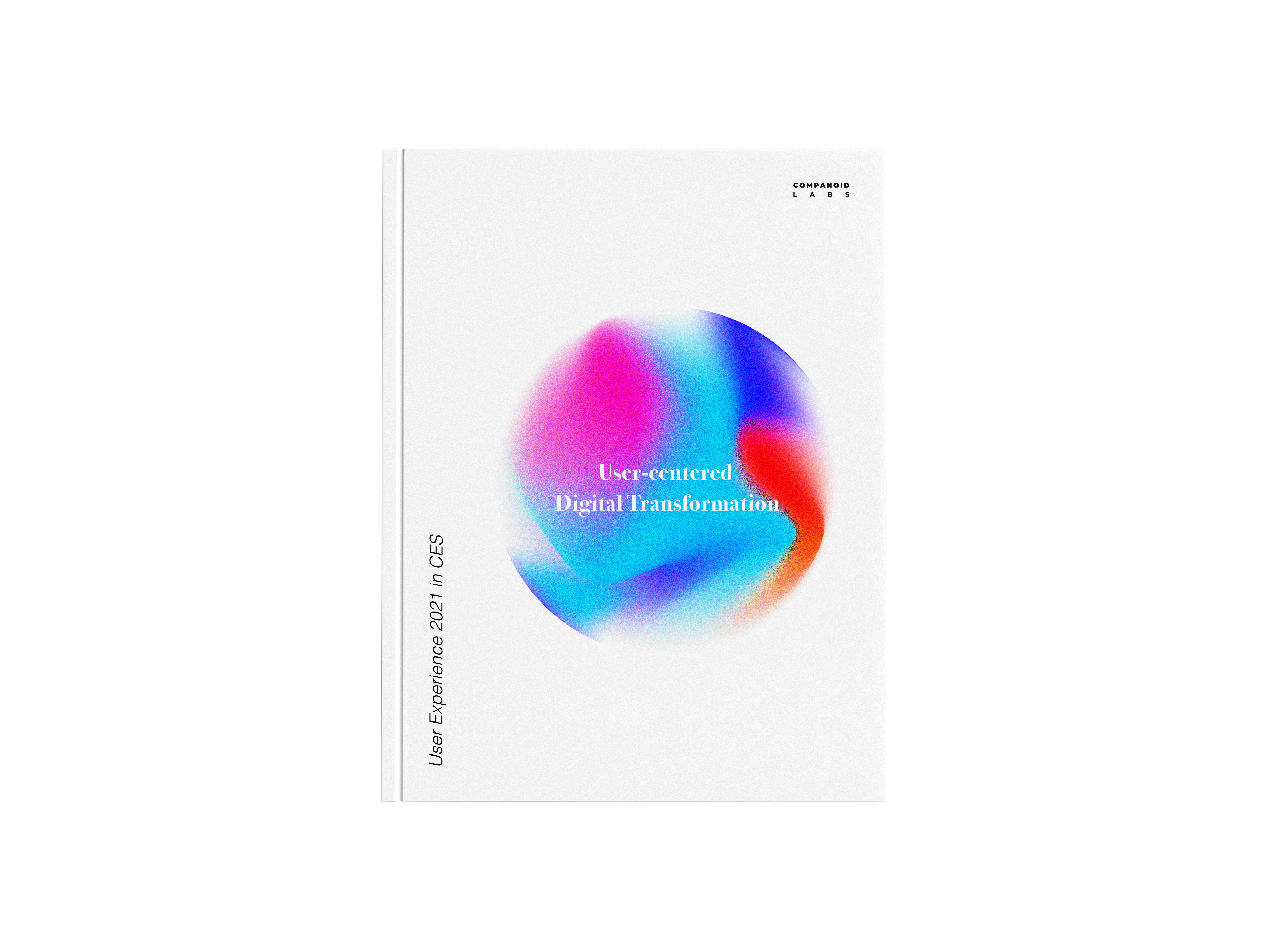 User Experience 2021 in CES