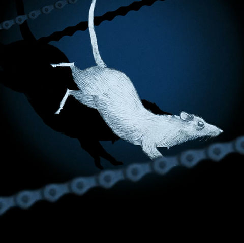 Banner02.jpg