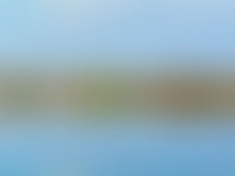 Zambia's Environmental Laws -Key Regulations and What They Mean for You