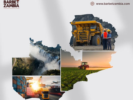 A PESTLE Analysis of Zambia