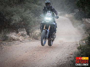 023R-7 (Personalizado).jpg